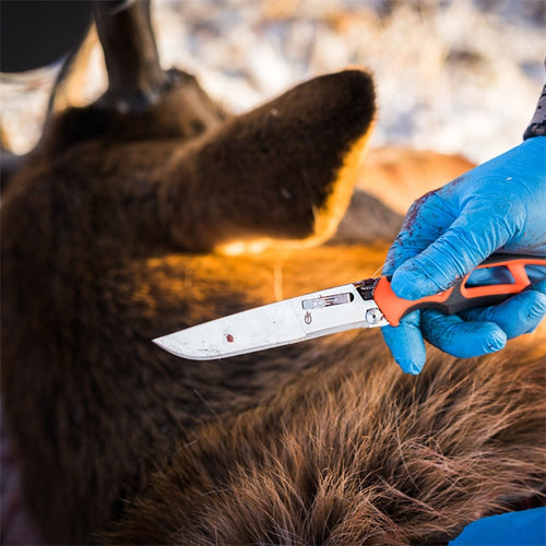 Gerber Randy Newberg EBS