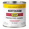 Rust-Oleum® Stops Rust® Protective Enamel Paint (Black, Gloss)