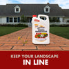 Spectracide® Spectracide® Weed & Grass Killer3 (AccuShot® Refill) (1.33 gal)