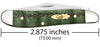 Case Smooth Kelly Green Curly Oak Peanut