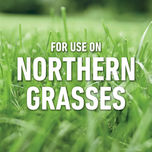Roundup® For Lawns₁ Extended Wand