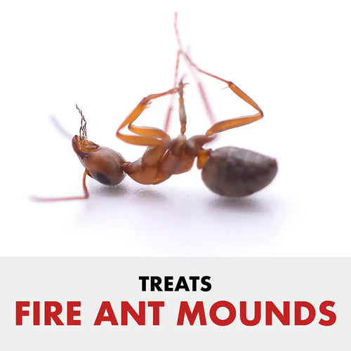 SPECTRACIDE® Fire Ant Shield® Mound Destroyer® Granules, 3.5 lbs