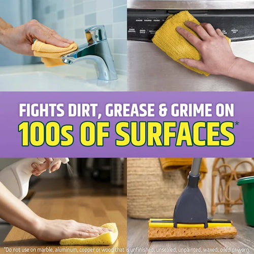 Pine-Sol™ Lavender Clean Multi-Surface Cleaner