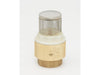 B&K Industries Brass 3/4-in FIP Foot Valve - Lead-Free