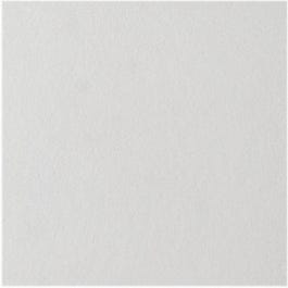 Ceiling Tile, White, 12 x 12-In.