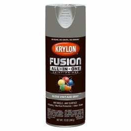 Fusion All-In-One Spray Paint + Primer, Gloss Vintage Gray, 12-oz.