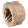 Pipe Cap Fitting, Lead-Free Brass, 1/4-In.