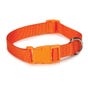 Casual Canine Nylon Dog Collars 14-20 in, Orange